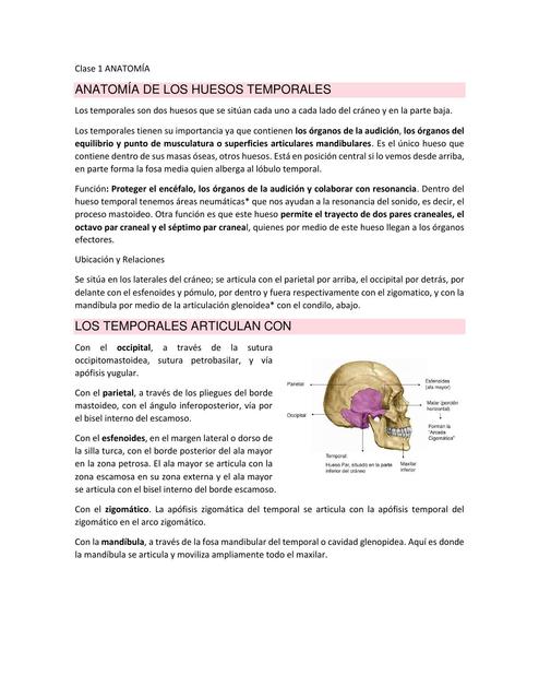 Hueso Temporal 