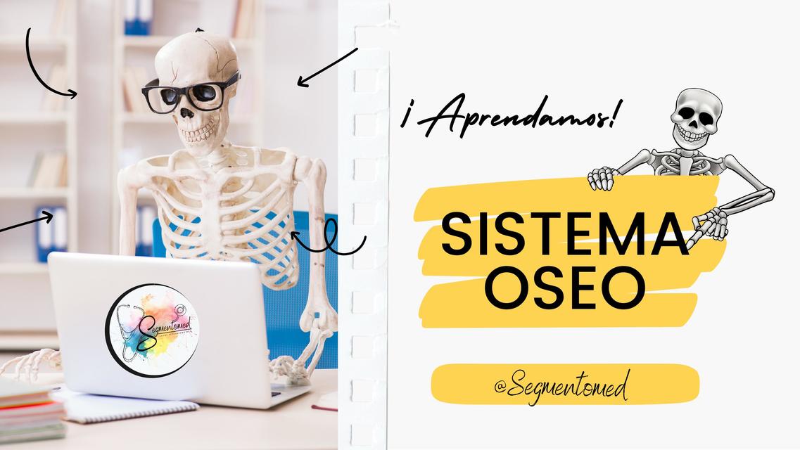 Sistema óseo 