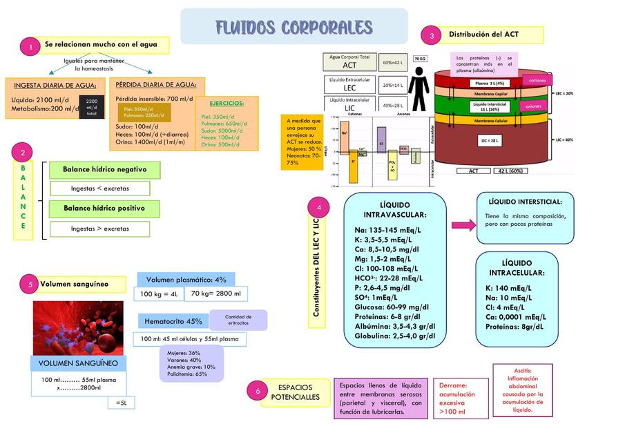 Fluidos Corporales