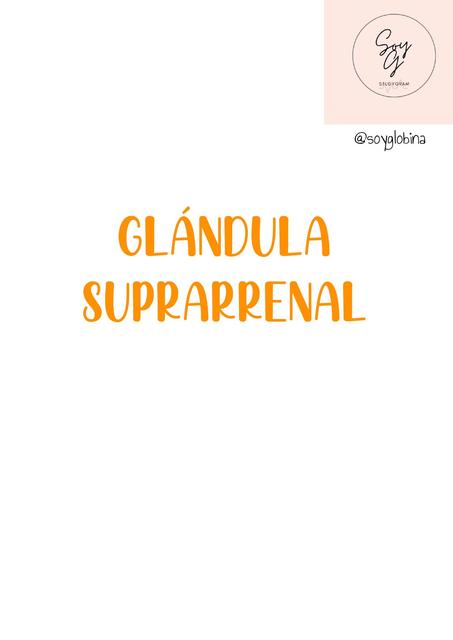 Fisiología de la Glándula Suprarrenal 