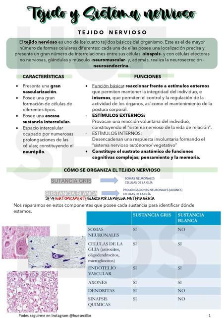 TEJIDO Y SISTEMA NERVIOSO