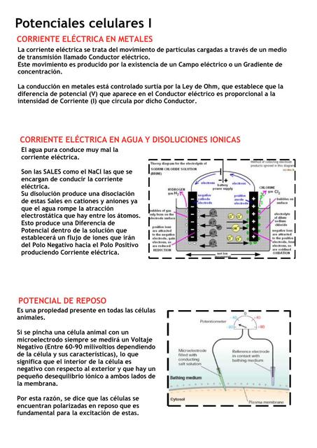 Potencial celular I