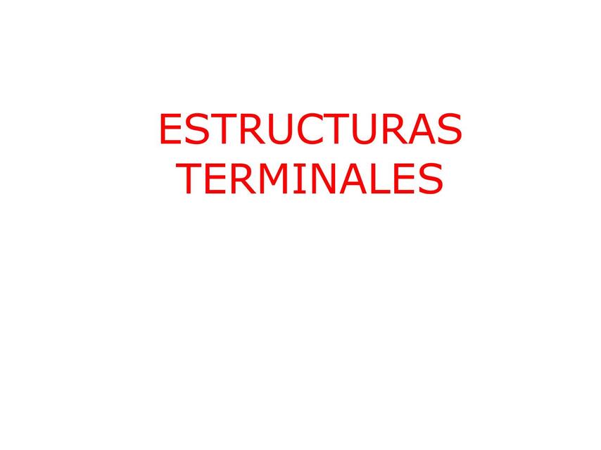 Cálculo de estructuras terminales