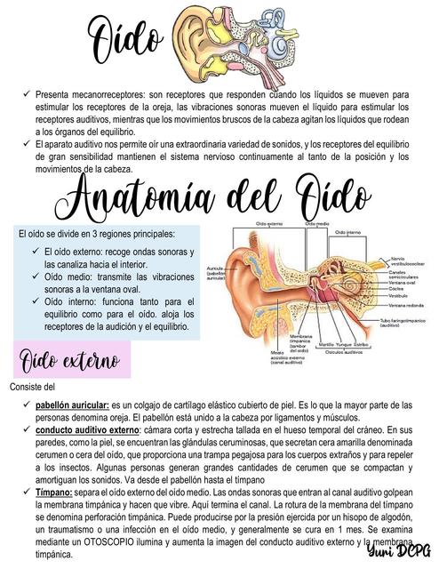 Resumen de la audición