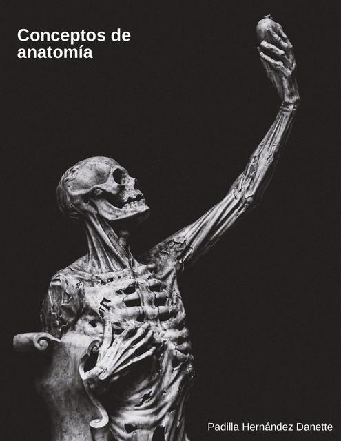 Conceptos de Anatomía