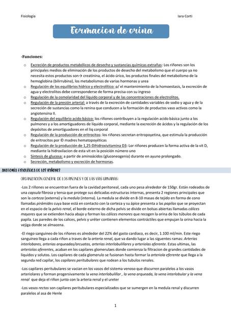 Fisiología renal 