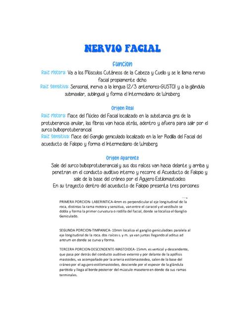 Nervio Facial 