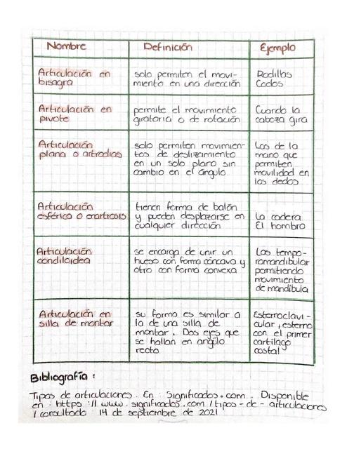 Articulaciones Sinoviales