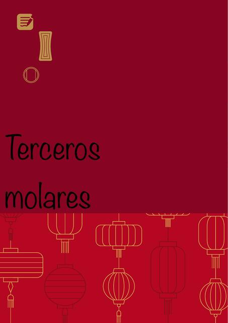 Terceros molares