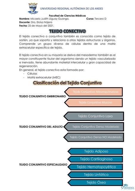 Tejido Conectivo