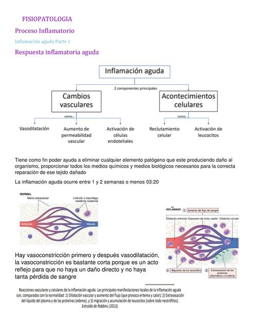 Fisiopatología