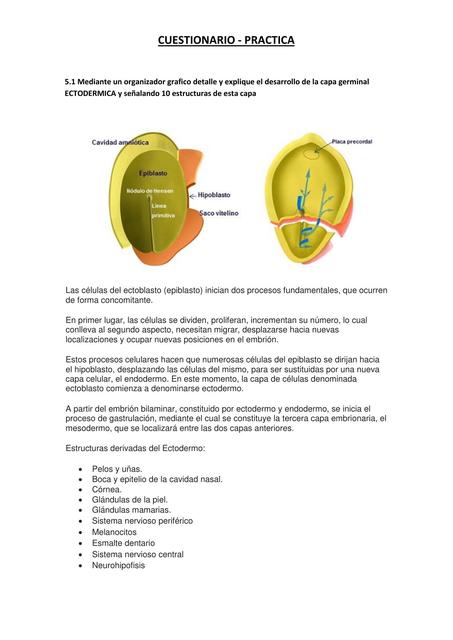 Embriología