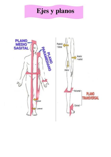 Ejes y Planos 