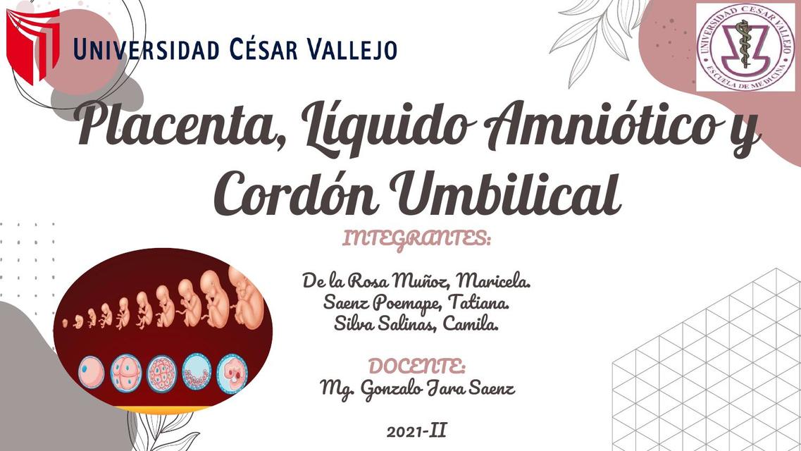 Placenta, Líquido Amniótico y Cordón Umbilical