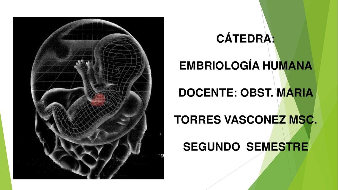 Embriología Humana 