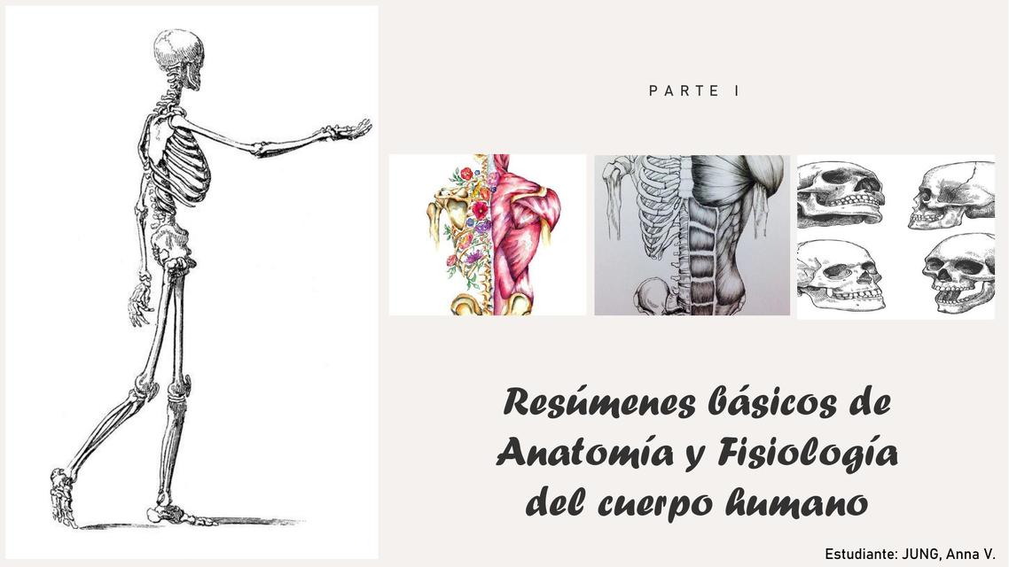 Resúmenes Básicos de Anatomía y Fisiología