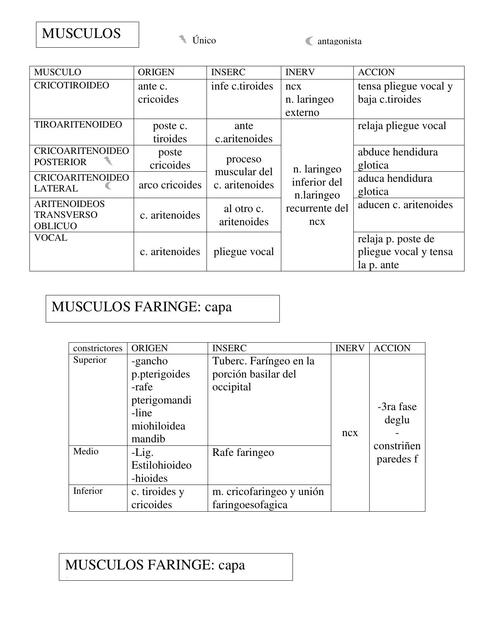 Músculos de la Laringe y Faringe