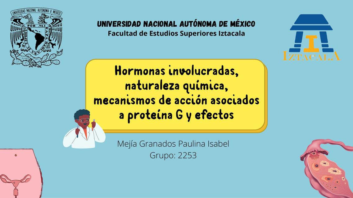 Hormonas del sistema reproductor femenino