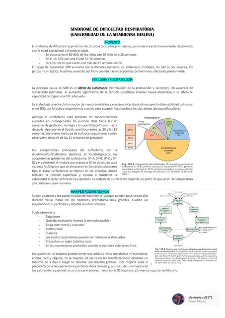 Síndrome de Dificultad Respiratoria 