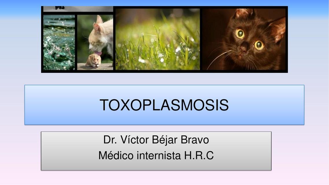 Toxoplasmosis 