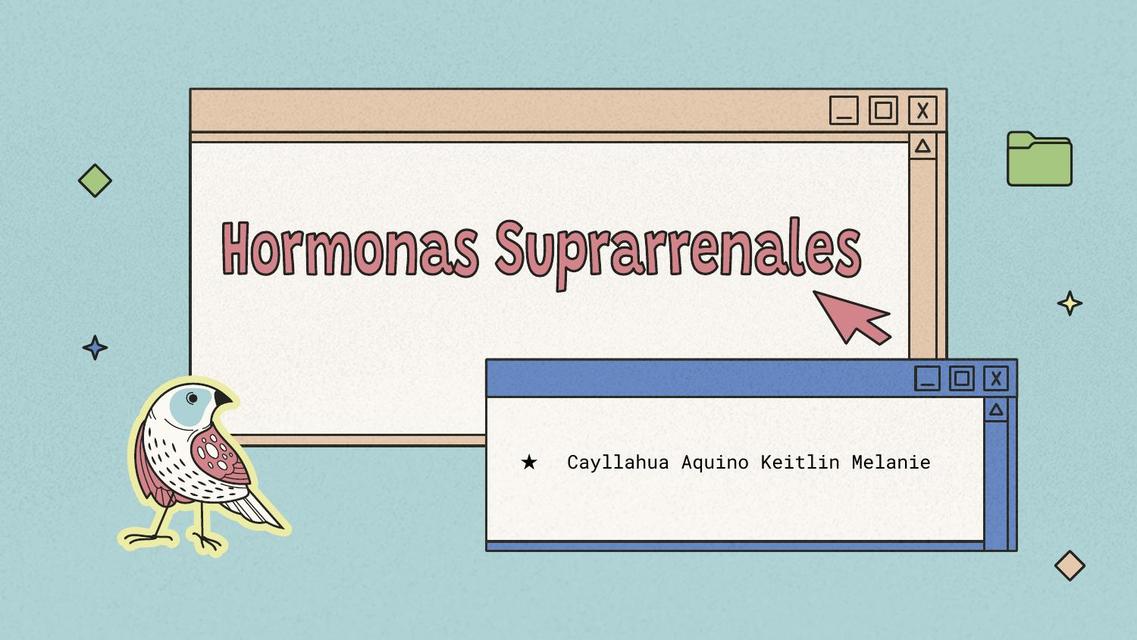 Hormonas Suprarrenales