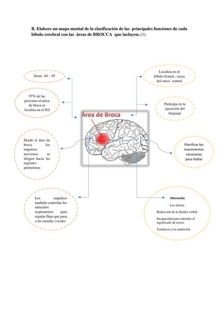 MAPA FISIOLOGIA