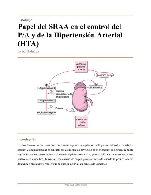 Generalidades del SRAA