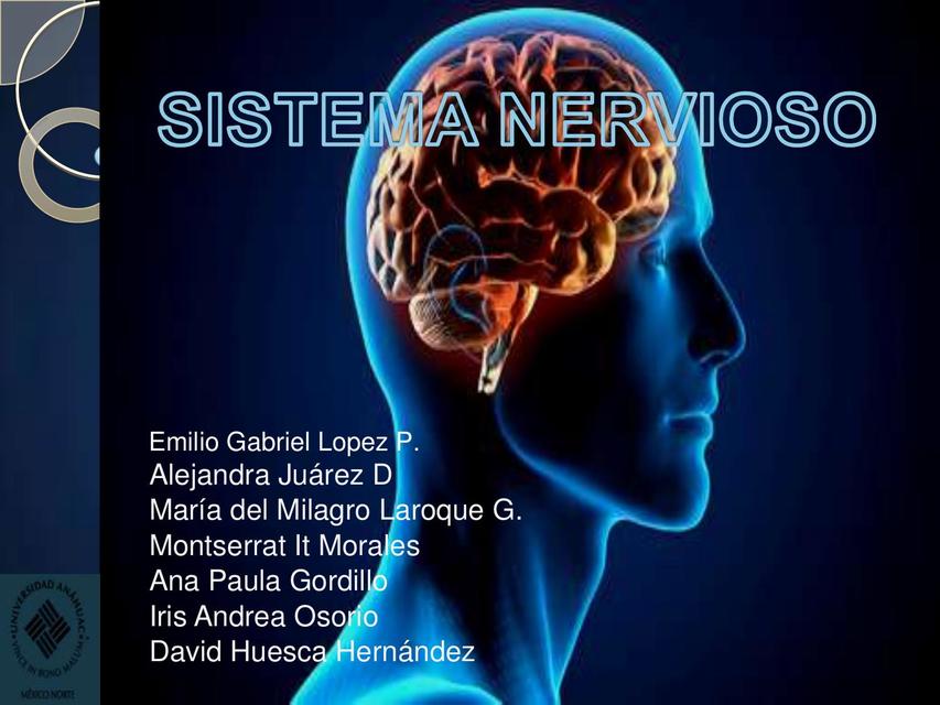 INTRODUCCION AL SISTEMA NERVIOSO