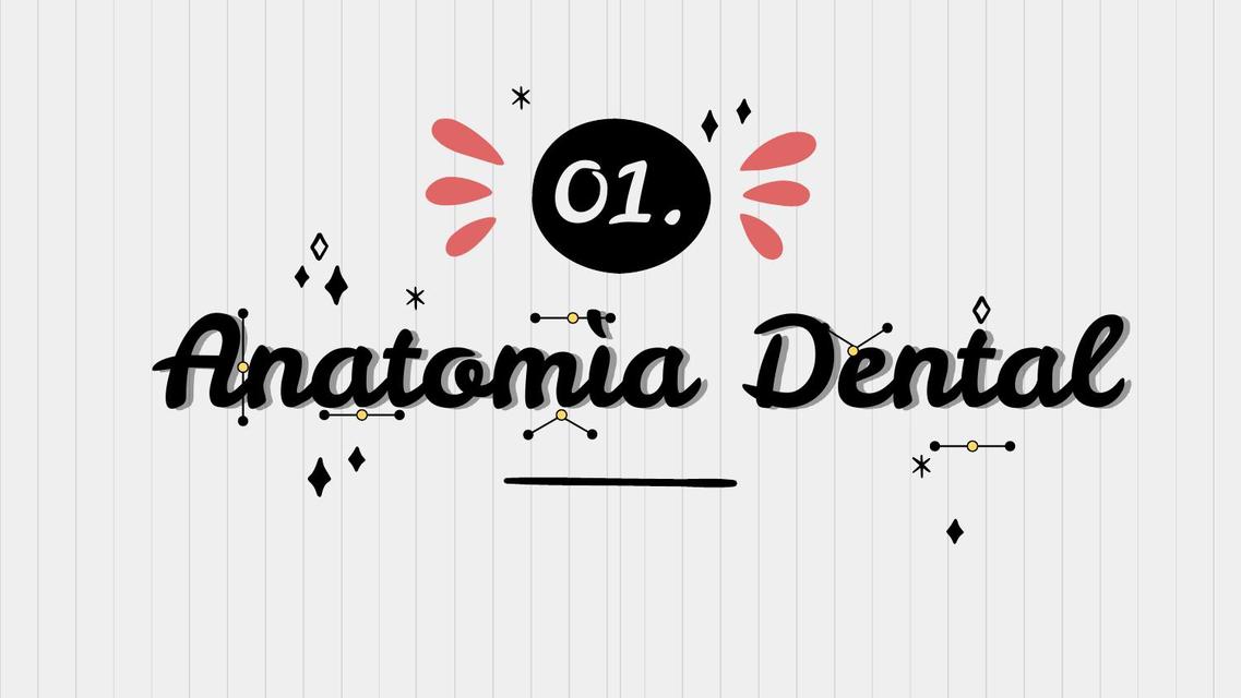 Anatomía Dental