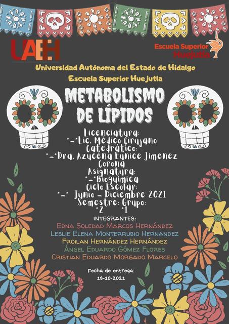 Metabolismo de los Lípidos