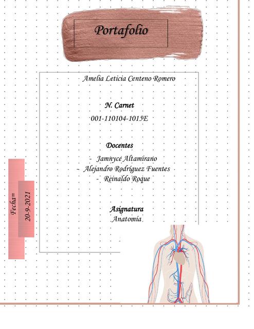 Sistema Cardiovascular 