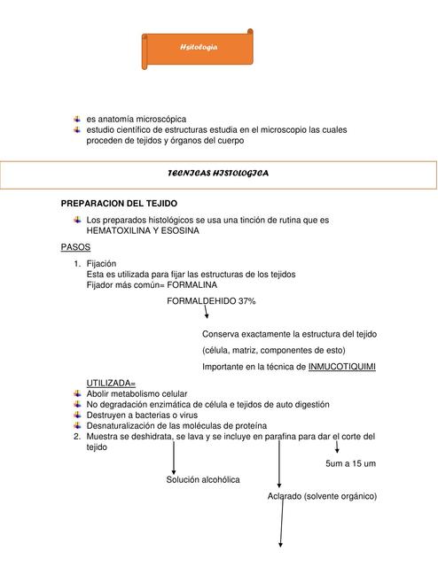 RESUMEN DE TEMAS CLASES