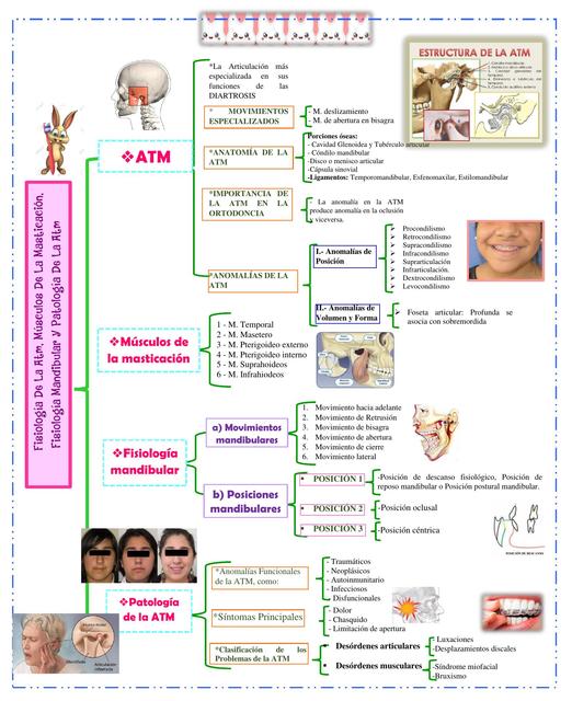 Fisiología de la ATM Mandibular y Patología de la ATM