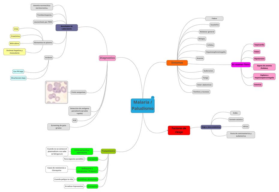 MAPA MENTAL - MECANISMO DEL ALCOHOL | uDocz