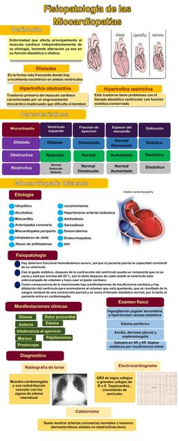 Fisiopatología de las miocardiopatías