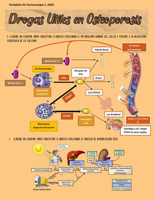 Drogas Útiles en Osteoporosis  