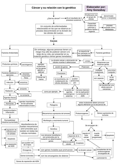 cáncer y su relación con la genética drawio