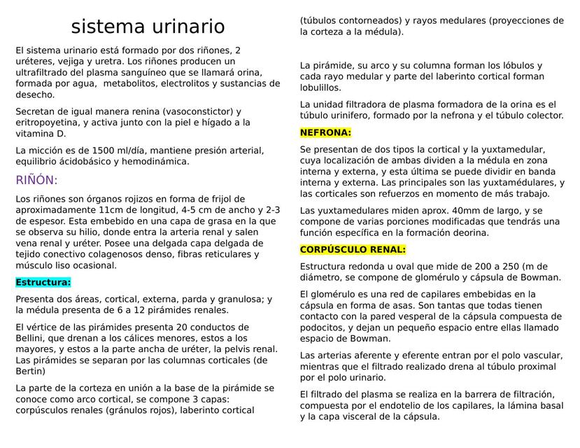 Sistema Urinario