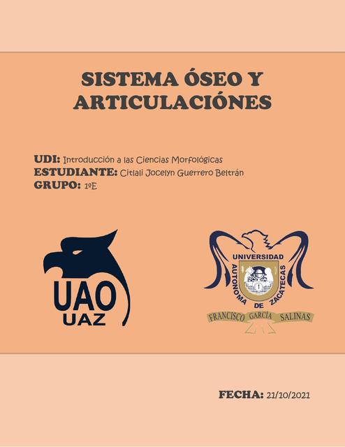 Sistema óseo y aritc