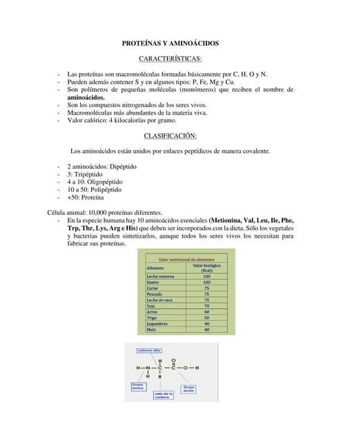 Proteínas y Aminoácidos 