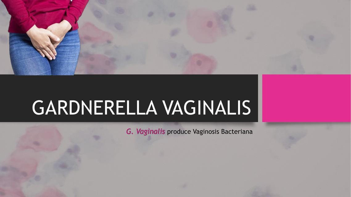 Gardnerella Vaginalis 