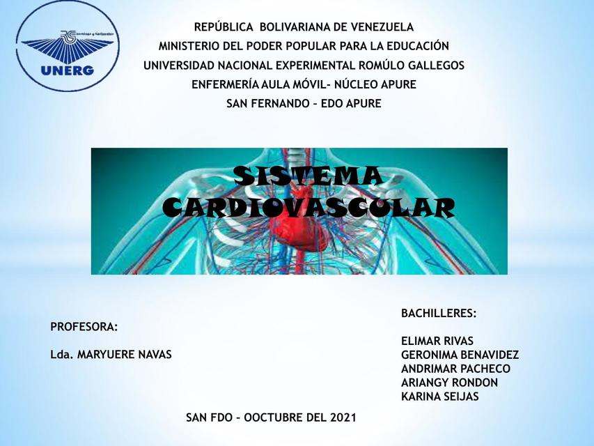 Sistema Cardiovascular