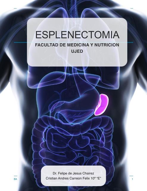 Esplenectomía 