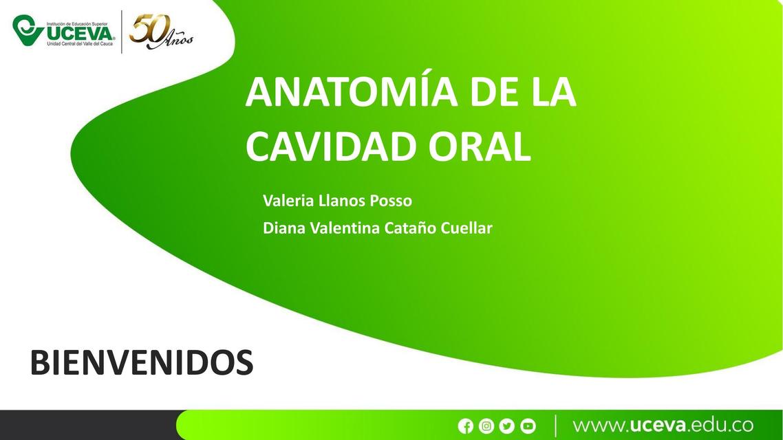 Anatomía de la Cavidad Oral