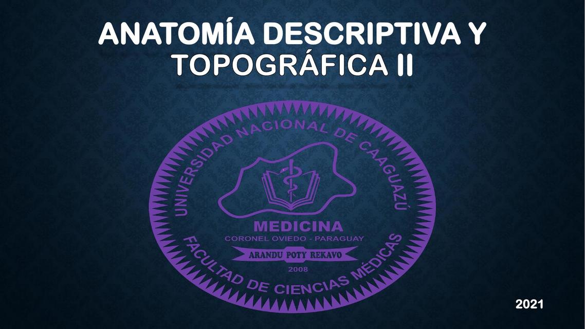 Anatomía Descriptiva y Topográfica 