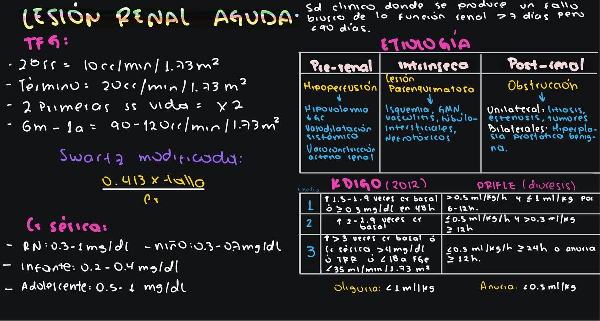 Lesión Renal Aguda Pediatría