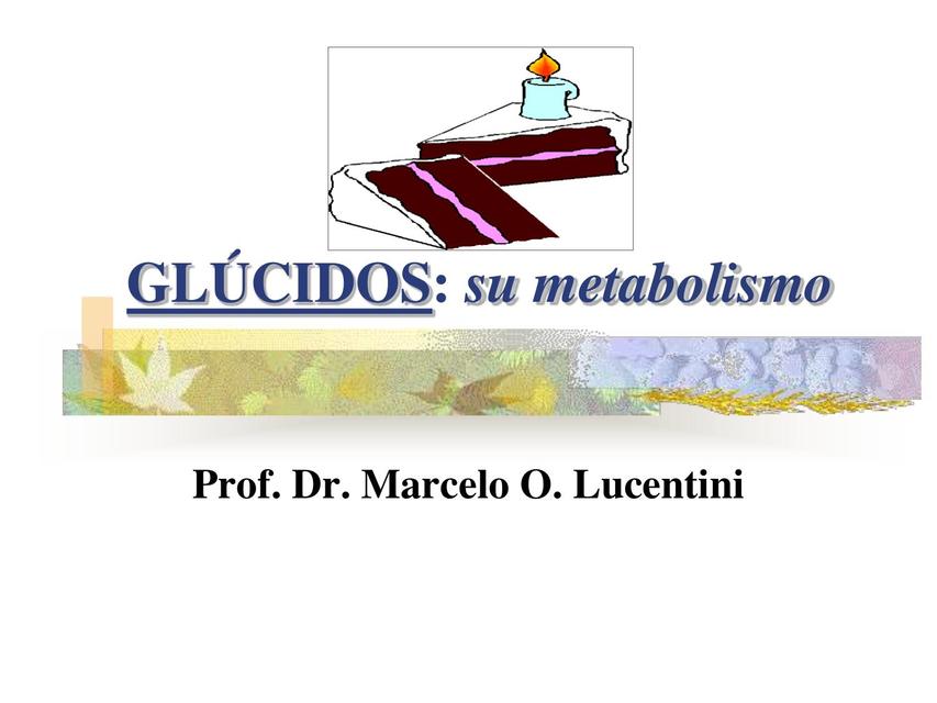 Glúcidos: Metabolismo 