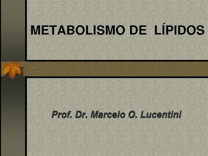 Metabolismo de Lípidos 