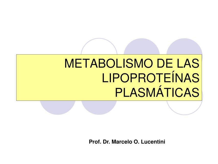 Metabolismo de las Lipoproteínas Plasmáticas 