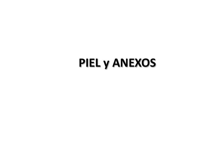 Piel y Anexos